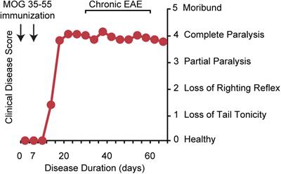 experimental autoimmune encephalomyelitis pertussis